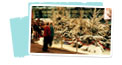 Fake Snow
